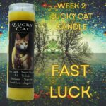 Personal Gambling Candle Altar week 2