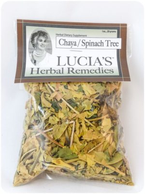 Chaya Herbal Tea / Spinach Tree