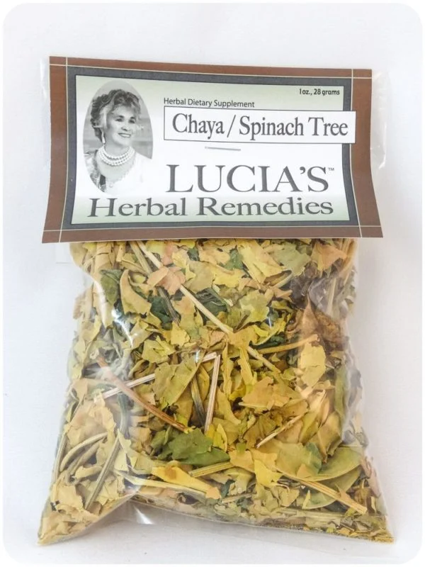 Chaya Herbal Tea / Spinach Tree