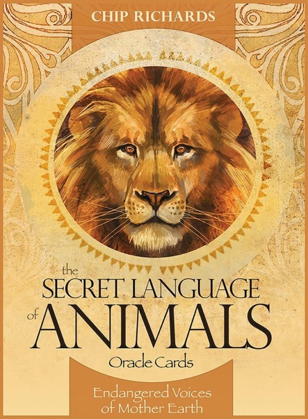 The Secret Language of Animals tarot cards
