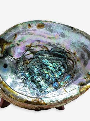 Abalone shell for sage burning
