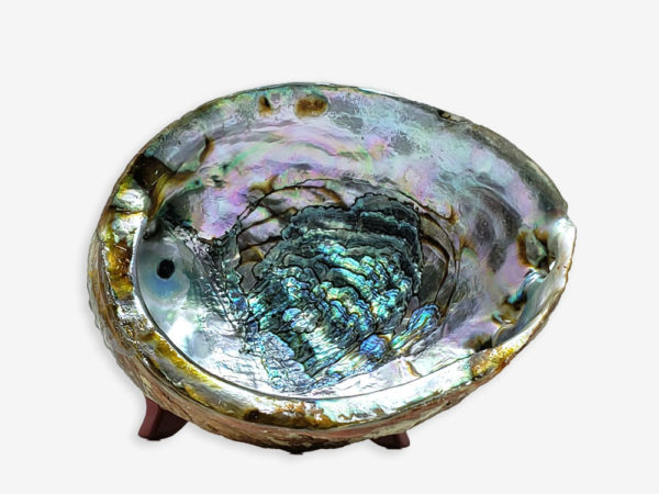 Abalone shell for sage burning