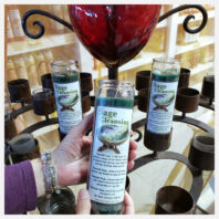 Salvia con corazón rojo