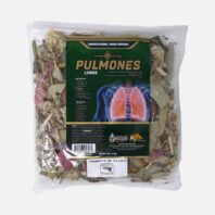 Lungs - Pulmones