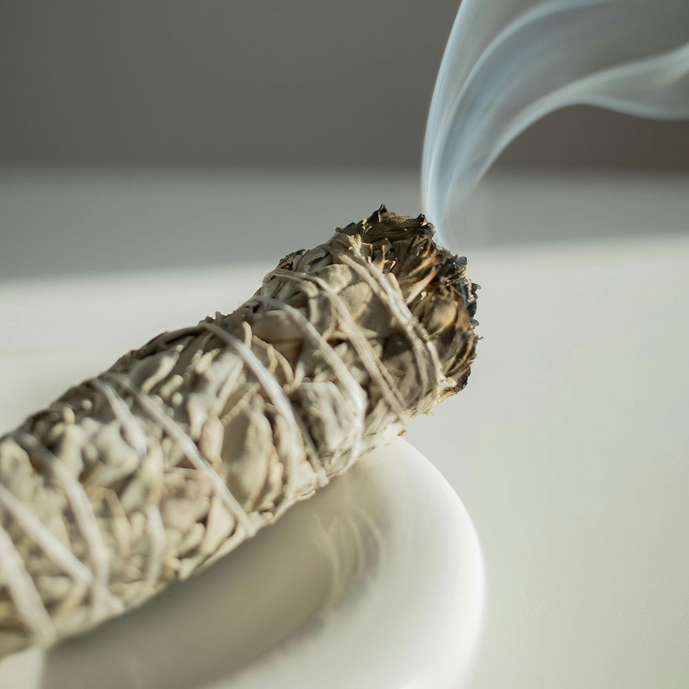 Cleanings Services Limpias